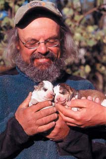 Frank with puppies